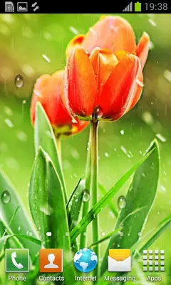 My Photo Rain Live Wallpaper android App screenshot 2